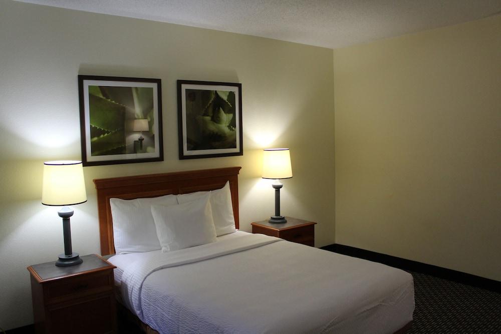 La Quinta By Wyndham Tampa Brandon West Hotel Kültér fotó