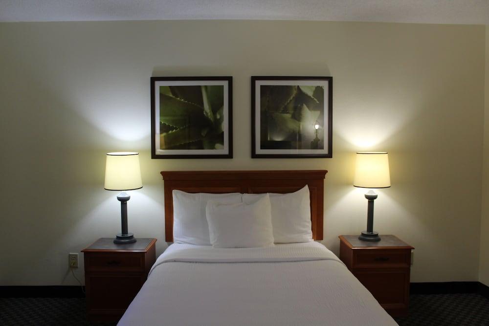 La Quinta By Wyndham Tampa Brandon West Hotel Kültér fotó